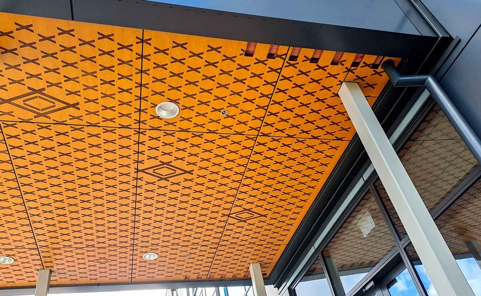 HPL NDHB Te Kotuku 01